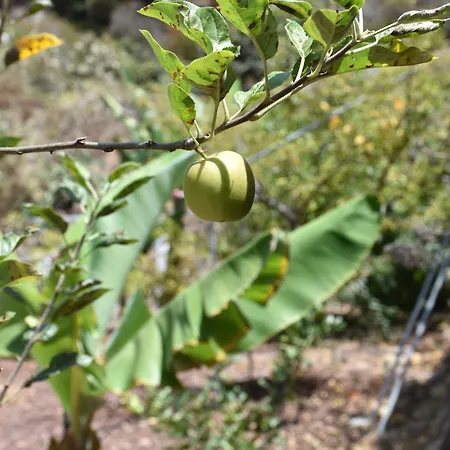 Finca El Majuelo Prázdninový dům